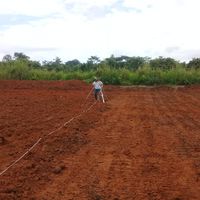 fazenda experimental 