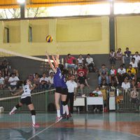 Voleibol